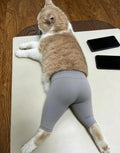 Purrfect Paws Cat Leggings – Cozy & Cute Pet Leg Warmers The WTF Store