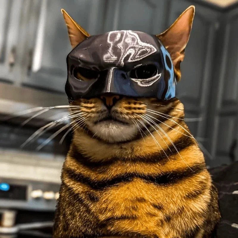 Cat Batman Cosplay Hat The WTF Store
