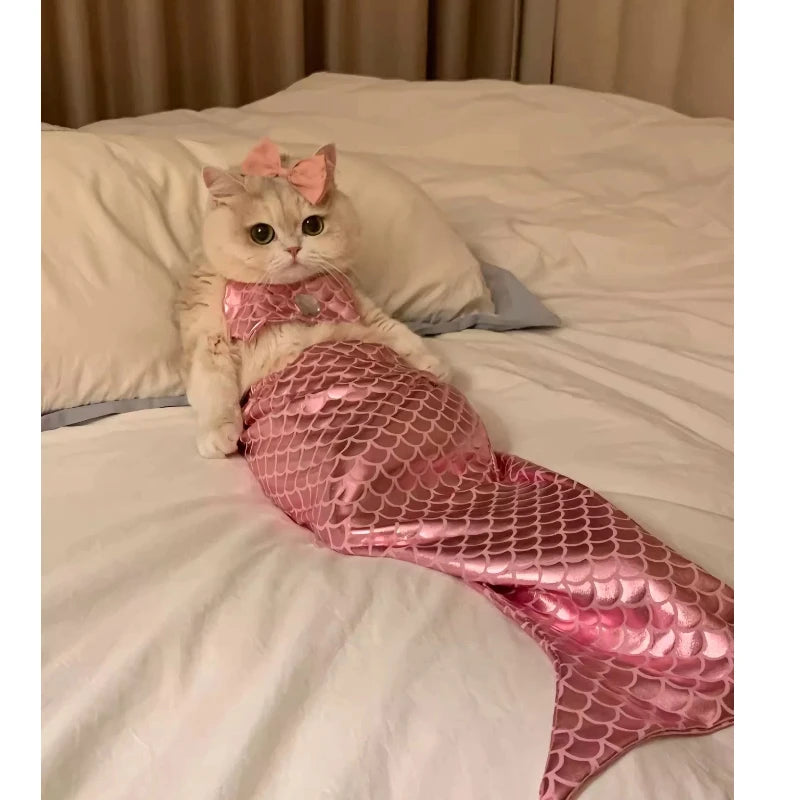 Cat Clothes Mermaid Funny Costumes Pet Cats Plush Toys Fish Tail Decorations Funny Photography Costumes Pet Clothing Accessories The WTF Store