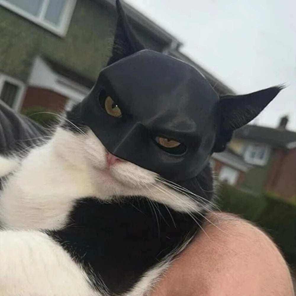 Cat Batman Cosplay Hat The WTF Store