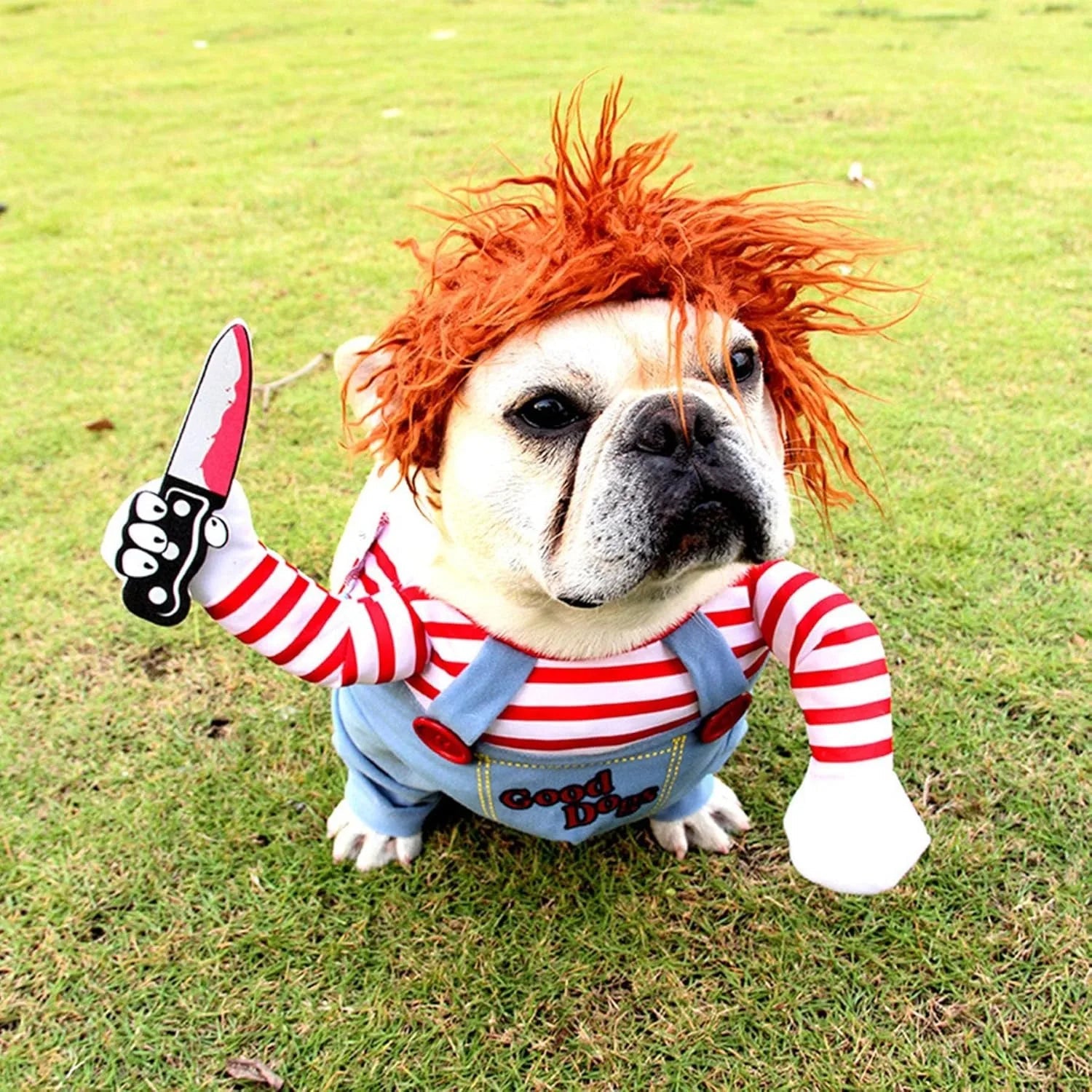 Funny Cat Clothes Cosplay Costumes Clothes for Small Medium Dog Cats Creative Pet Party Kitten Jumpsuits Soft Warm Cat Coat The WTF Store