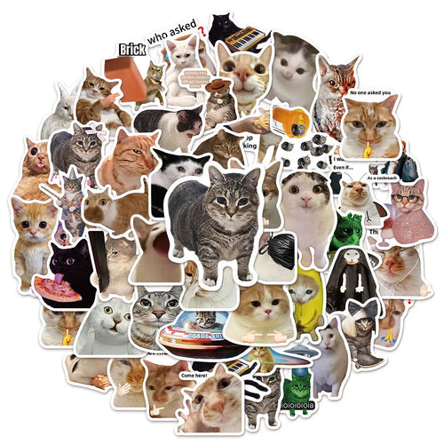 50/100PCS Creative Network Popular Cat Meme Collection Hand Account DIY Graffiti Stickers Water Cup Skateboard Stickers The WTF Store