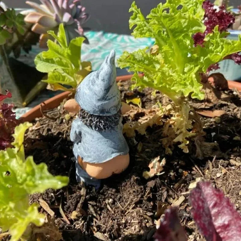 Funny Gnome Statue Garden Decoration Dwarf Taking A Shit Ornament  Home Courtyard Lawn Decoration Resin Crafts The WTF Store