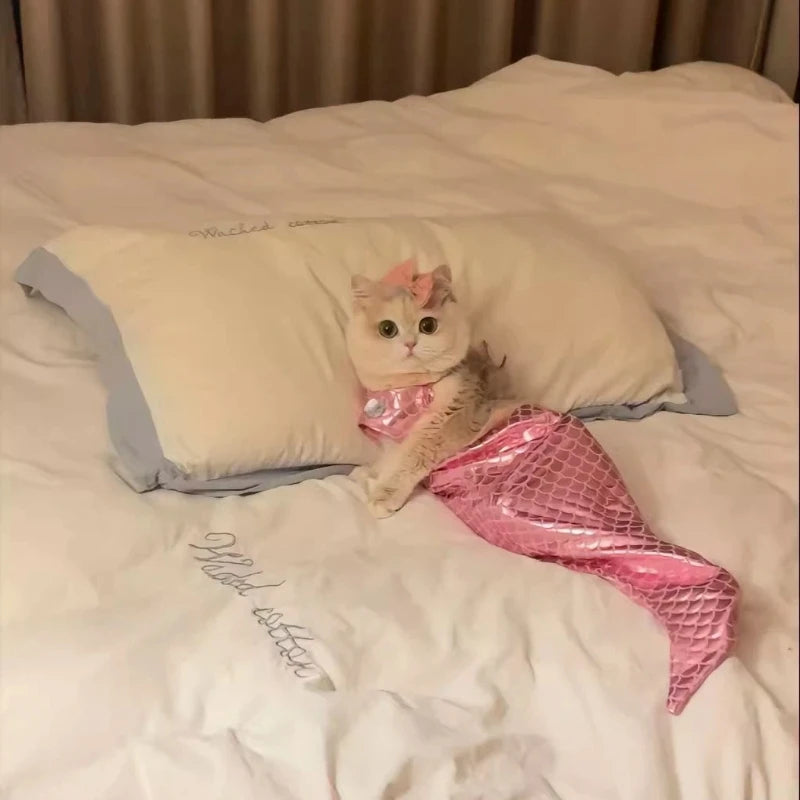 Cat Clothes Mermaid Funny Costumes Pet Cats Plush Toys Fish Tail Decorations Funny Photography Costumes Pet Clothing Accessories The WTF Store
