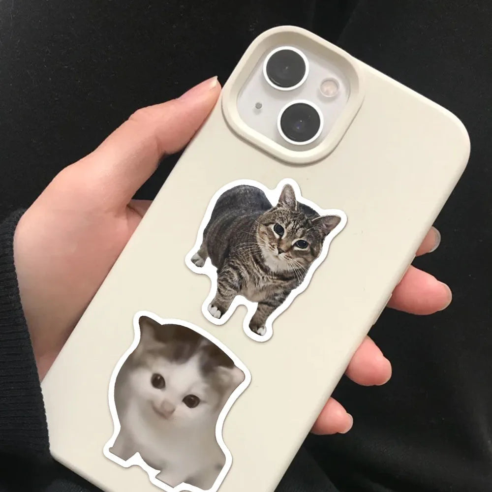 50/100PCS Creative Network Popular Cat Meme Collection Hand Account DIY Graffiti Stickers Water Cup Skateboard Stickers The WTF Store