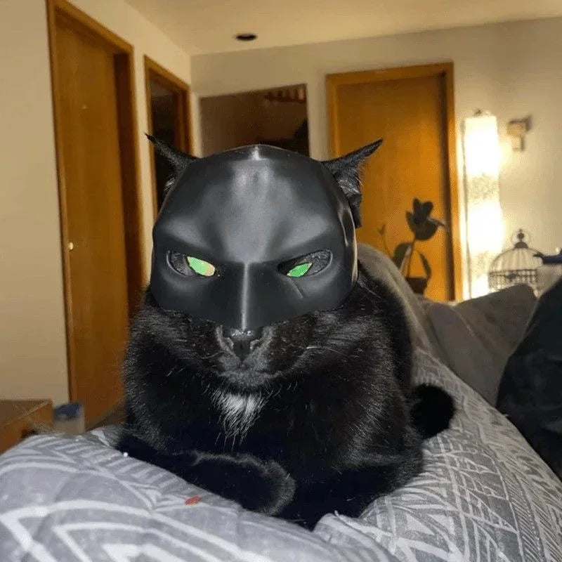 Cat Batman Cosplay Hat The WTF Store
