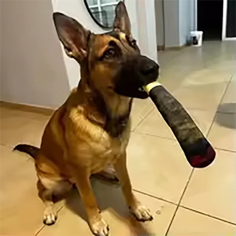 Funny Interactive Dog Toys Cigar Design Plush Squeaky Pet Toys Grinding Teeth Creative Chew Cool Stuffed Gifts for Dog Birthday The WTF Store