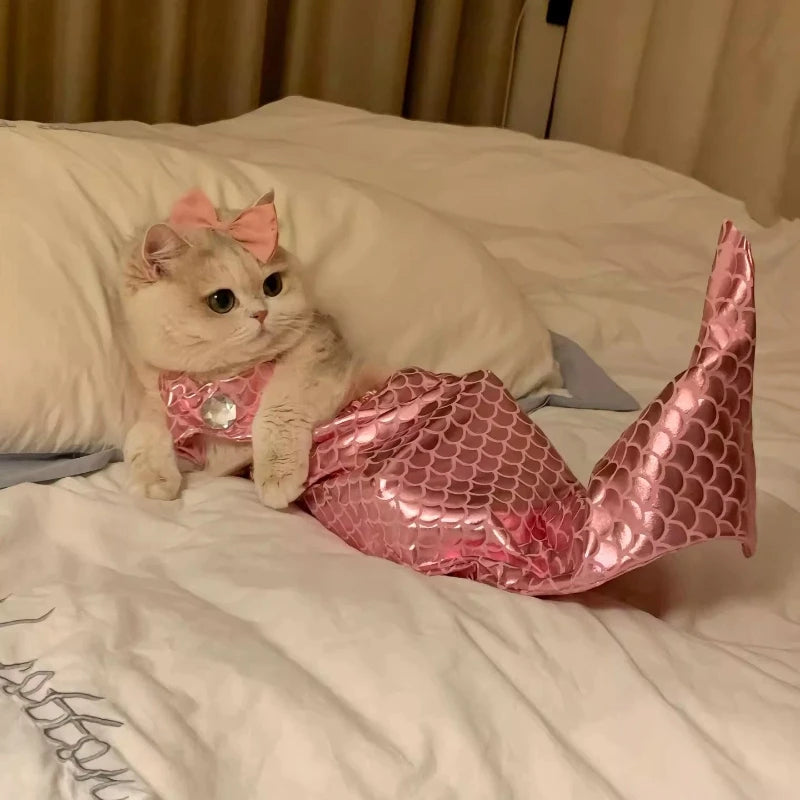 Cat Clothes Mermaid Funny Costumes Pet Cats Plush Toys Fish Tail Decorations Funny Photography Costumes Pet Clothing Accessories The WTF Store
